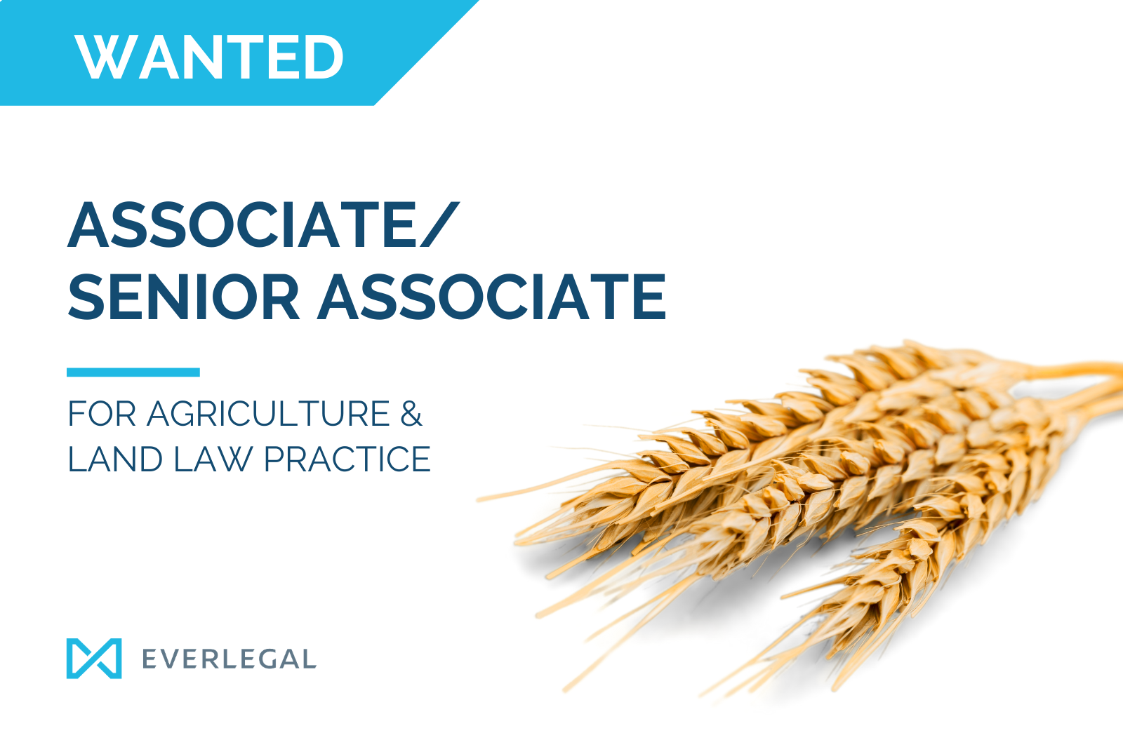 WANTED: Associate/Senior Associate for Agriculture and Land Law Practice