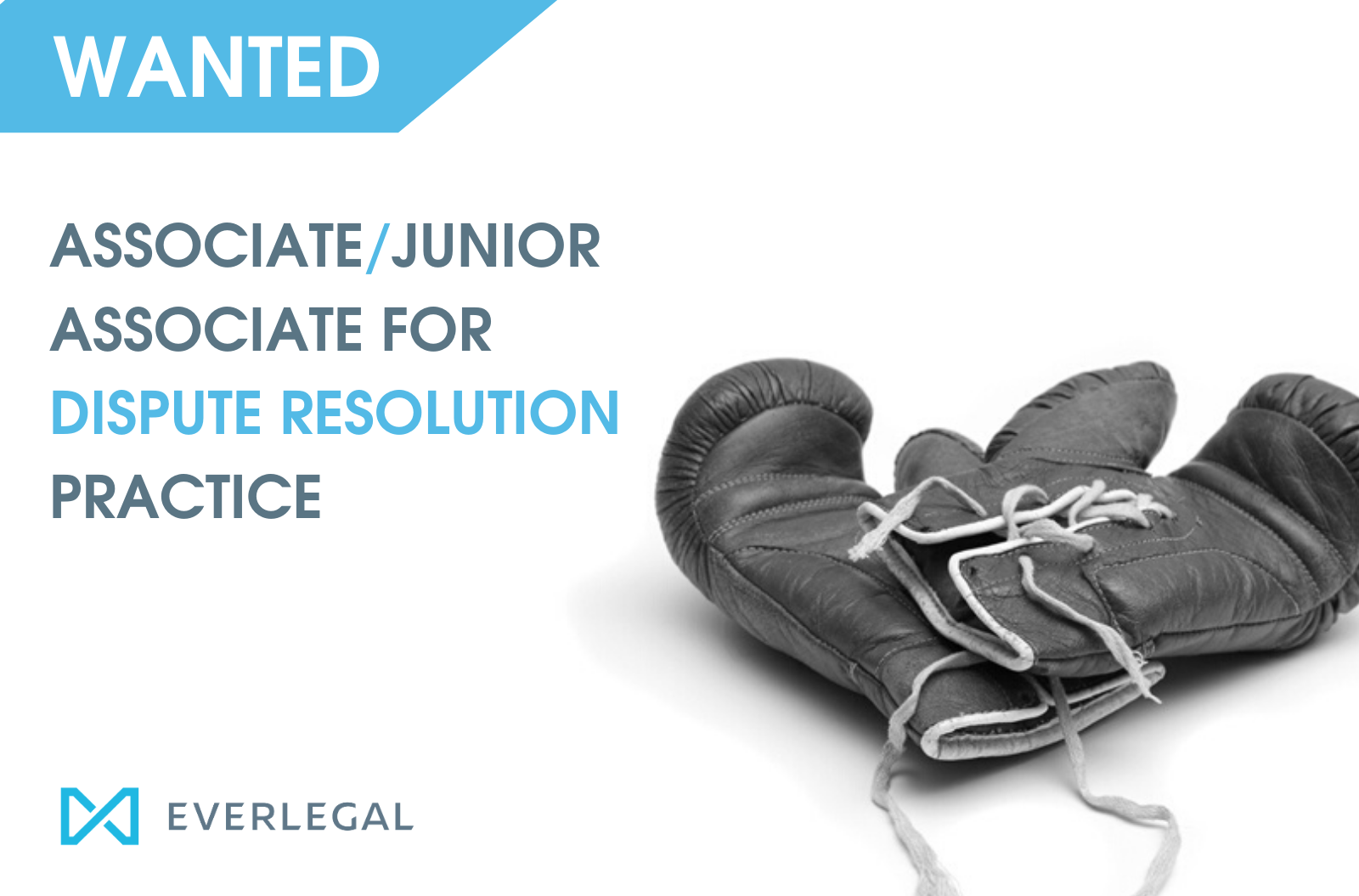 EVERLEGAL is looking for an Associate/Junior Associate for DR Practice