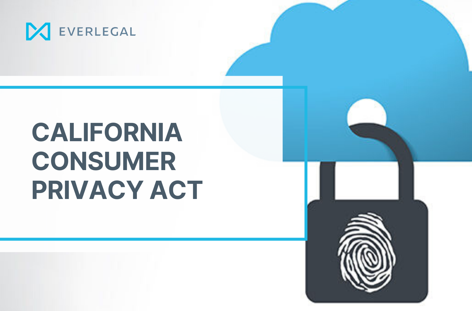 CCPA 2020: which IT companies should review their privacy policy?