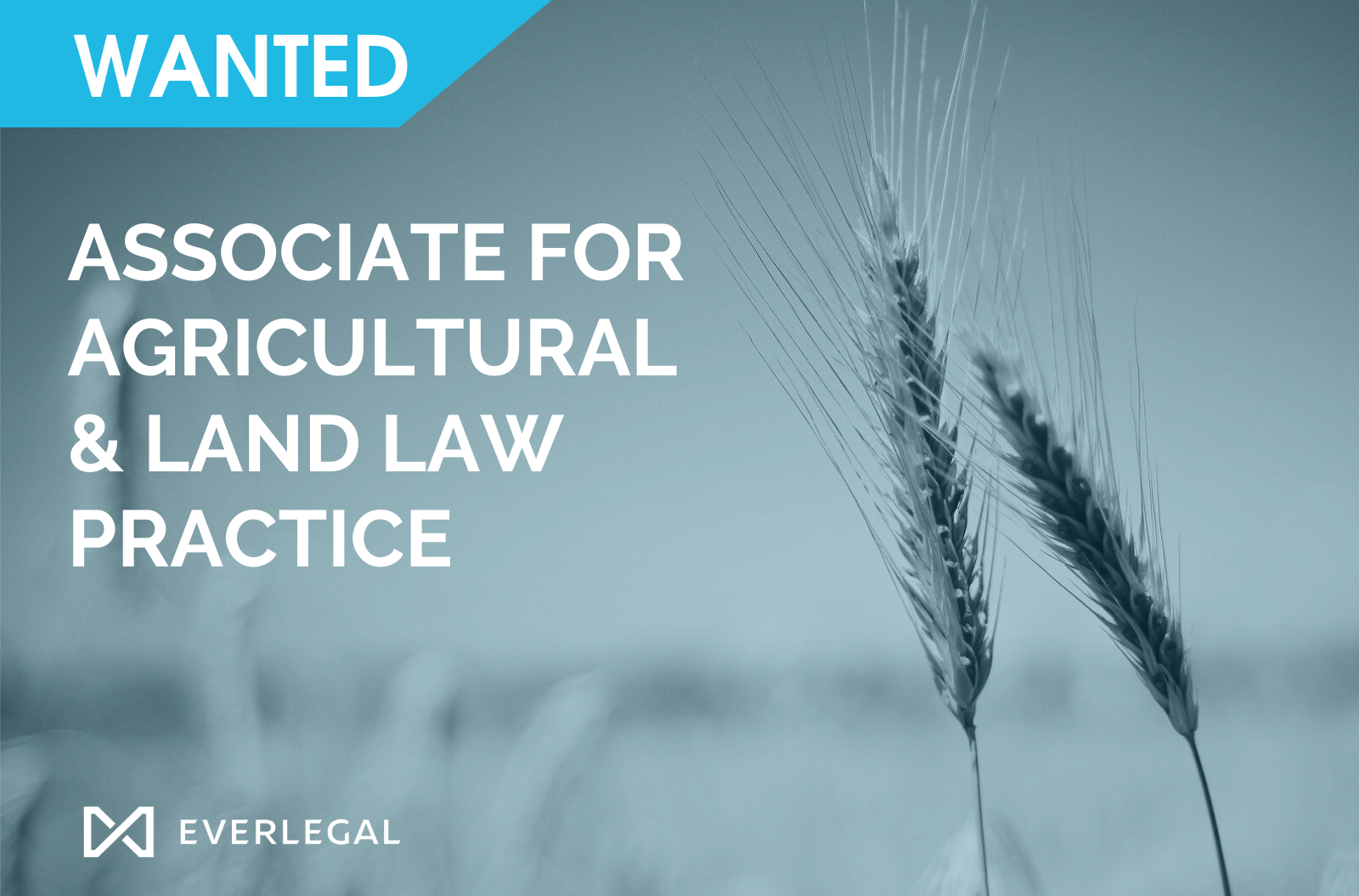EVERLEGAL is looking for Associate for Agricultural and Land Law Practice